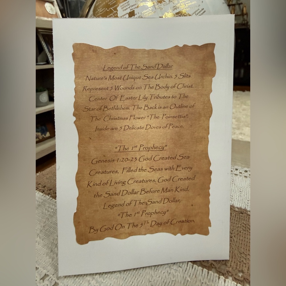 The legend of The Sand Dollar the 1st prophecy paperback book by Cynthia Anne - Picture 2 of 10